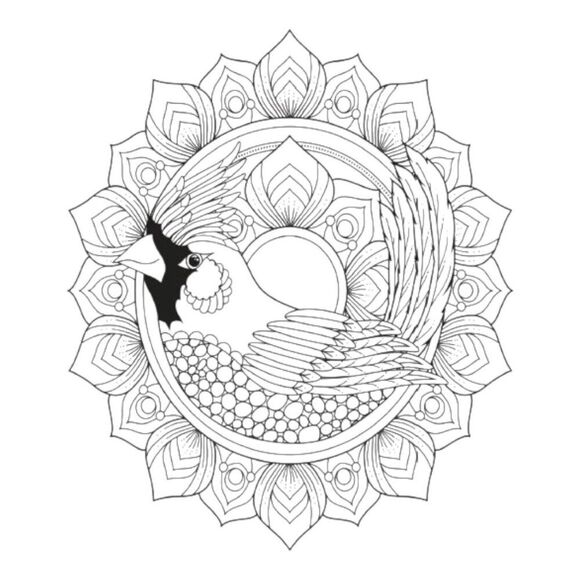 Printout Bird Mandalas Coloring #1 (31 Pages) - Picture 6 of 6